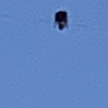 UFO 発見！