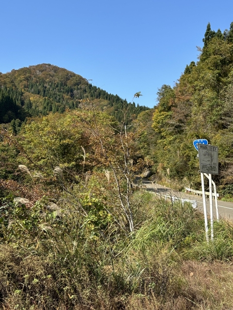 国道３４４号